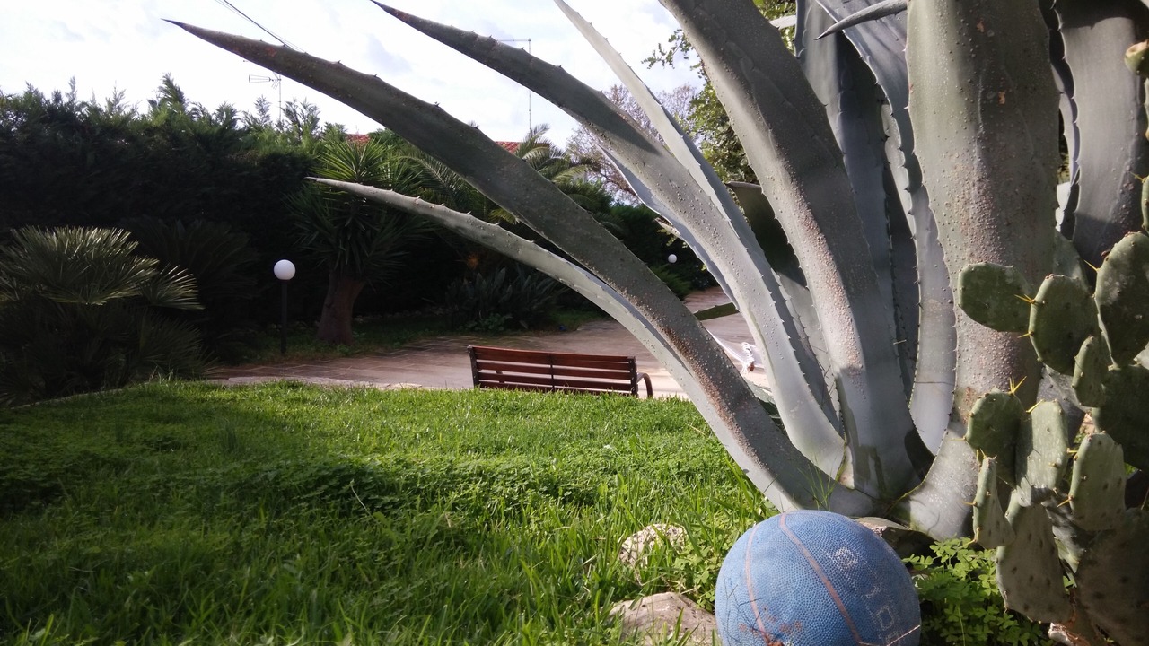 Photo of Outdoor in Santa Maria al Bagno