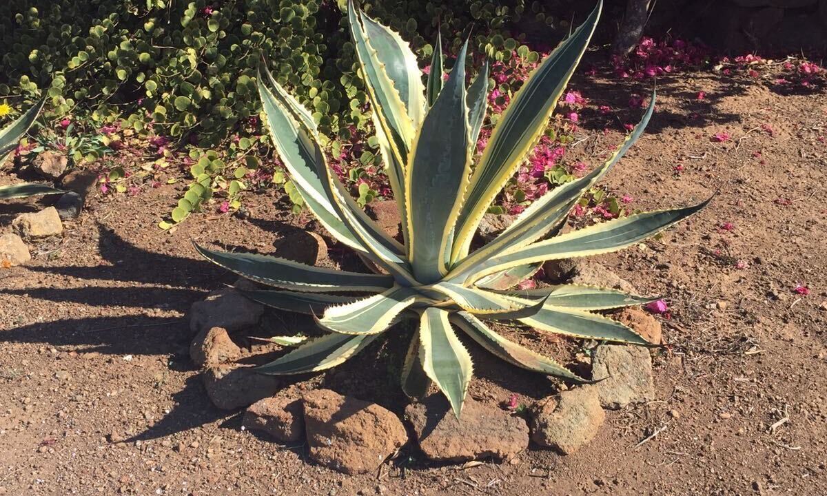 Photo of Outdoor in Rekhale