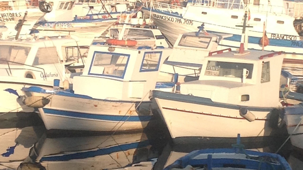 Photo of Others in Porticello