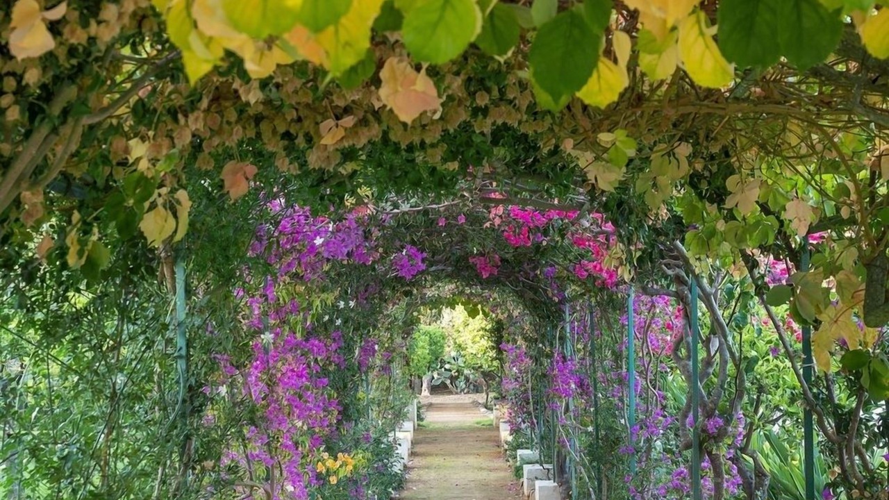 Photo of Outdoor in Marsala