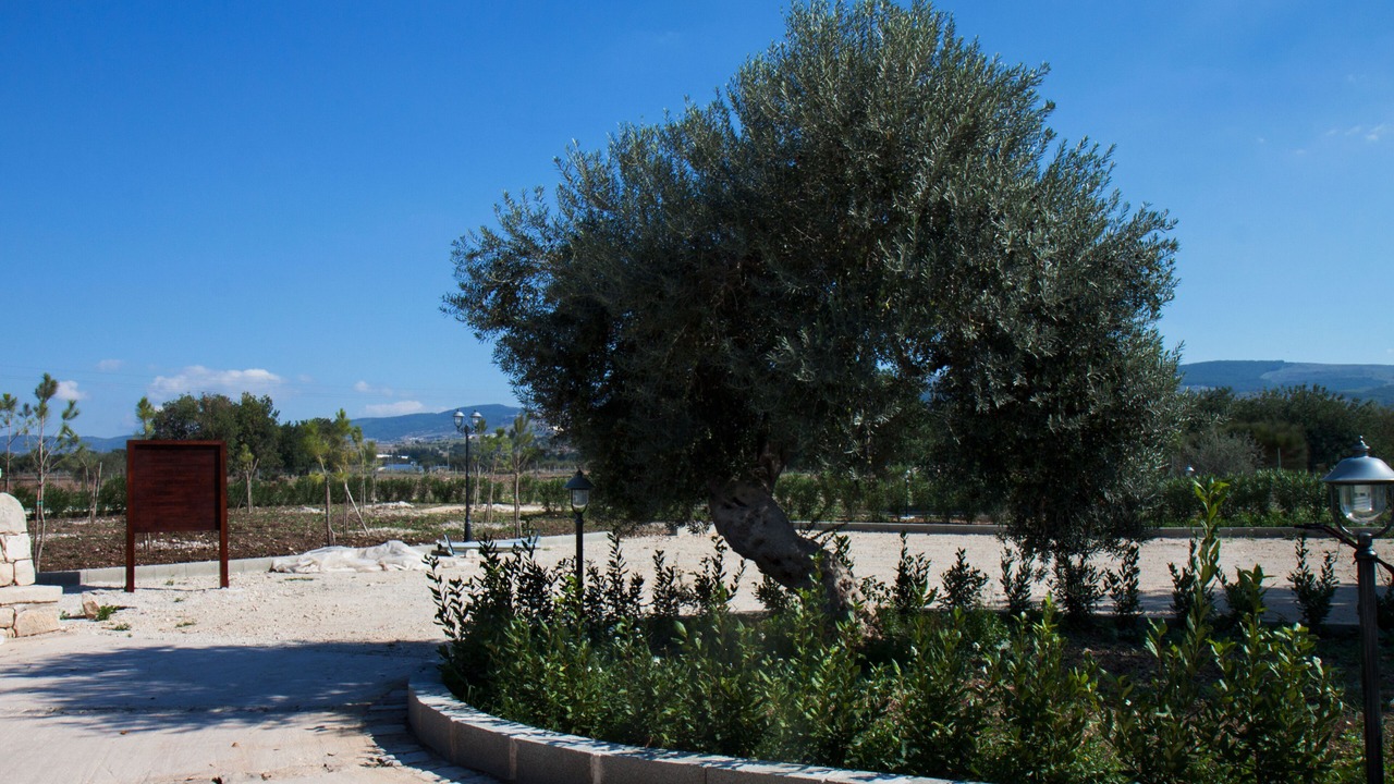 Photo of Outdoor in Chiaramonte Gulfi