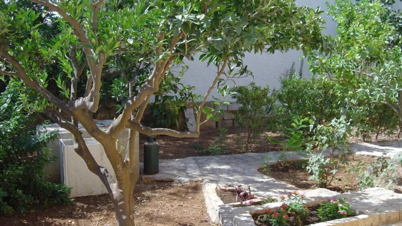 Photo of Outdoor in Corsano