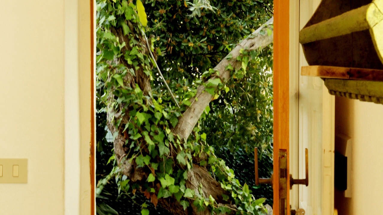 Photo of Others in Mazzaro