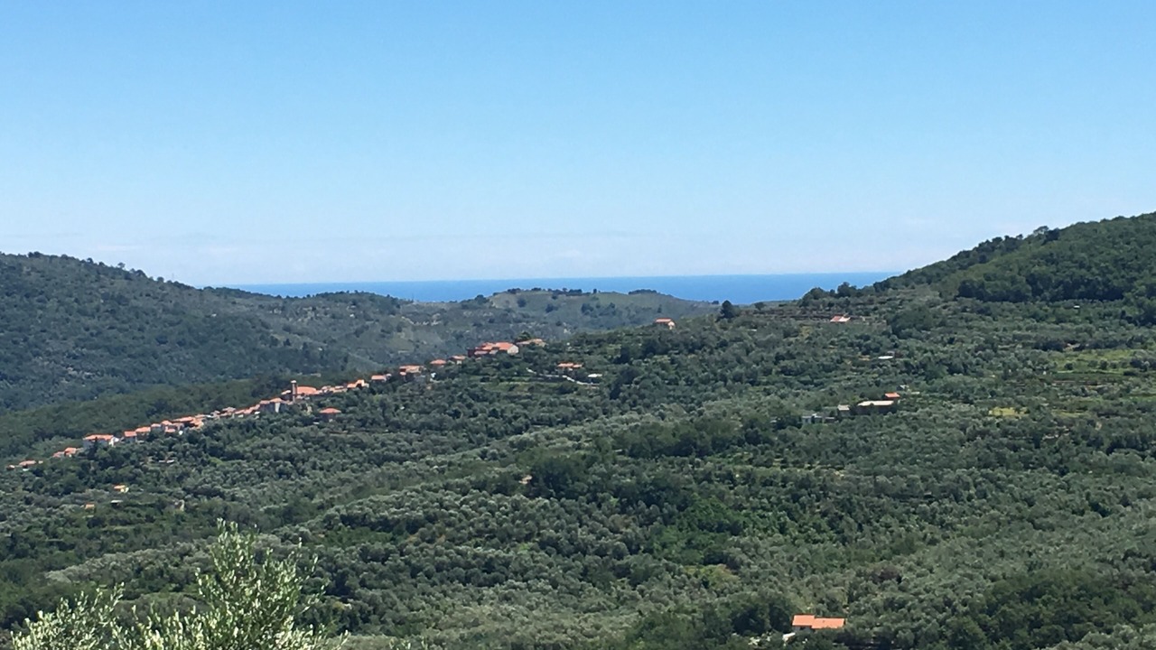 Photo of Others in Villa Viani