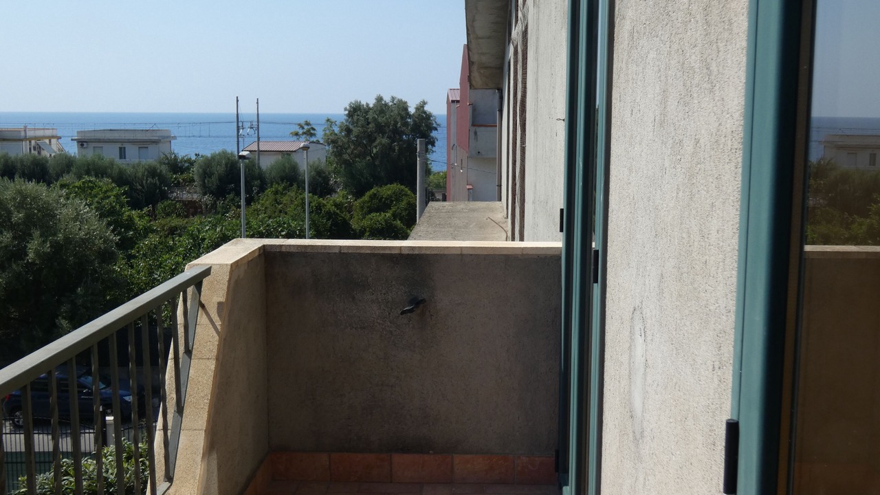 Photo of Outdoor in Porto Salvo