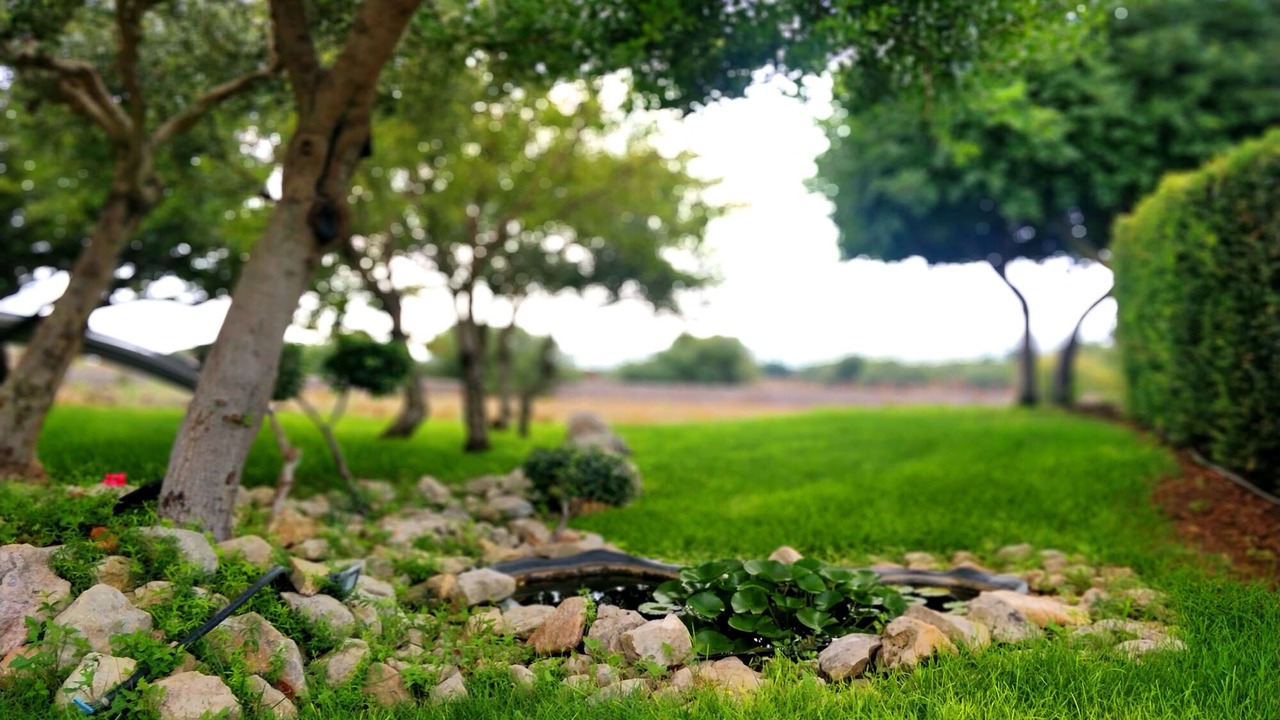 Photo of Outdoor in Casa Papa