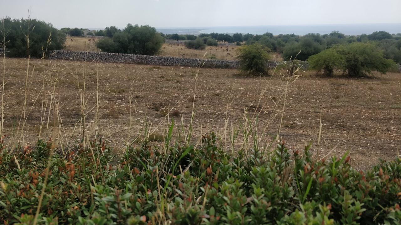 Photo of Outdoor in Casa Papa