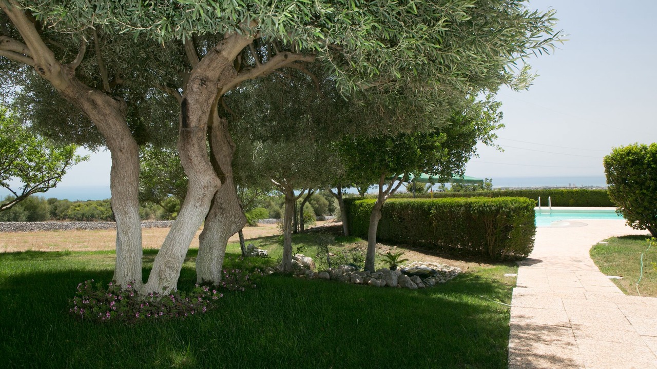 Photo of Outdoor in Casa Papa