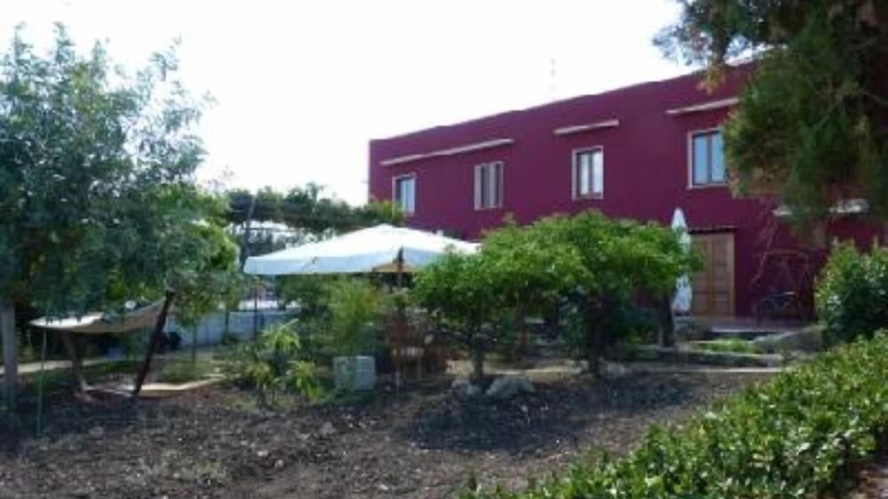 Photo of Outdoor in Mockarta