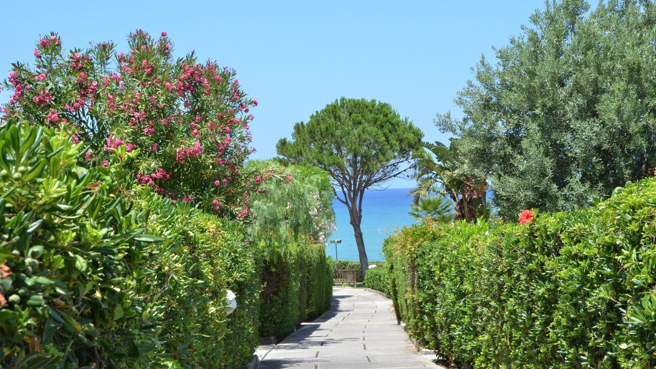 Photo of Outdoor in Mazzaforno
