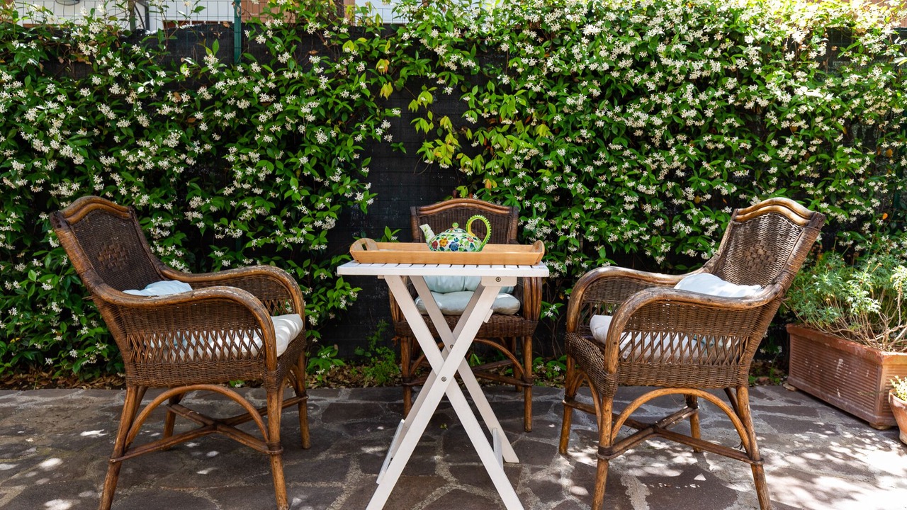 Photo of Outdoor in Fregenae