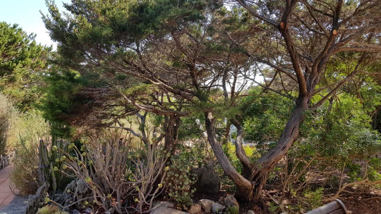 Photo of Outdoor in Portobello di Gallura