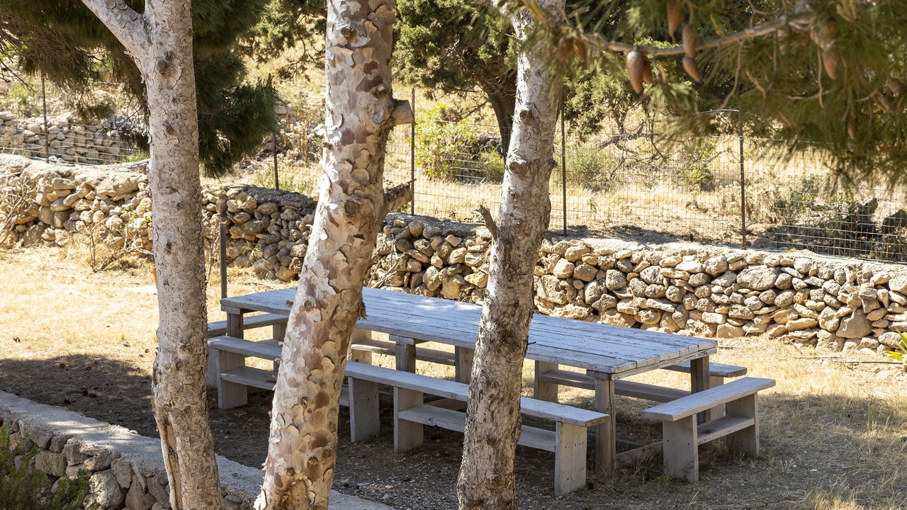 Photo of Outdoor in Favignana