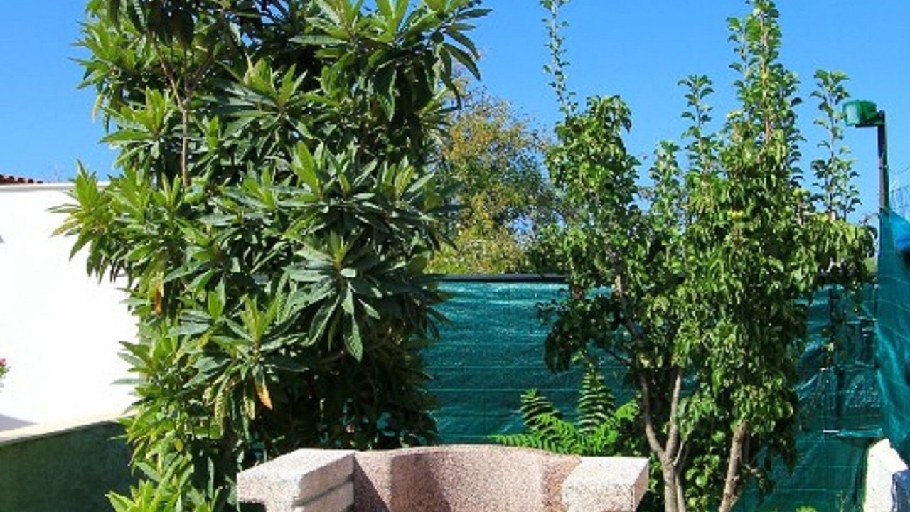 Photo of Outdoor in Capaci