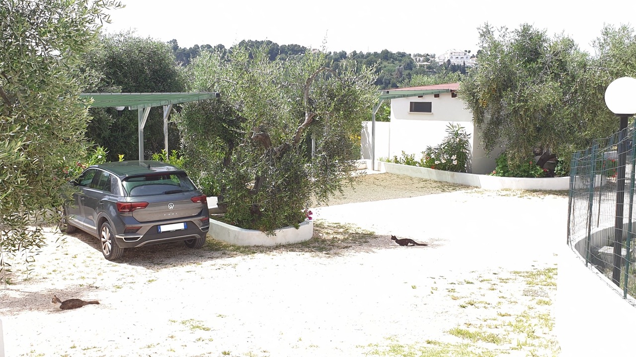 Photo of Outdoor in Chiesiola