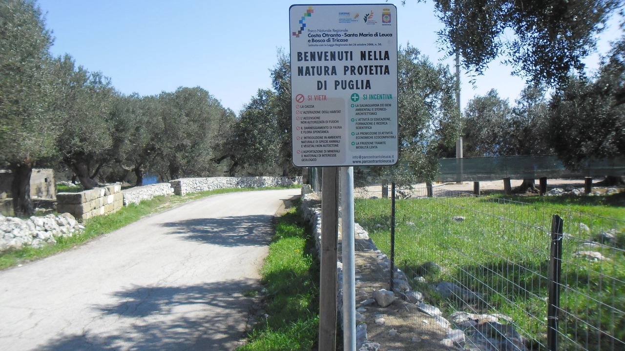 Photo of Outdoor in Corsano