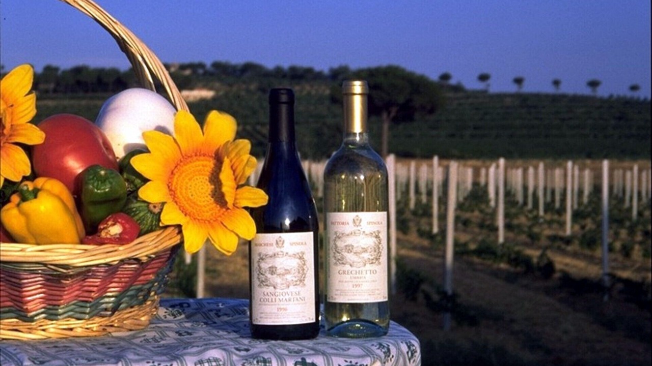 Photo of Outdoor in Torgiano