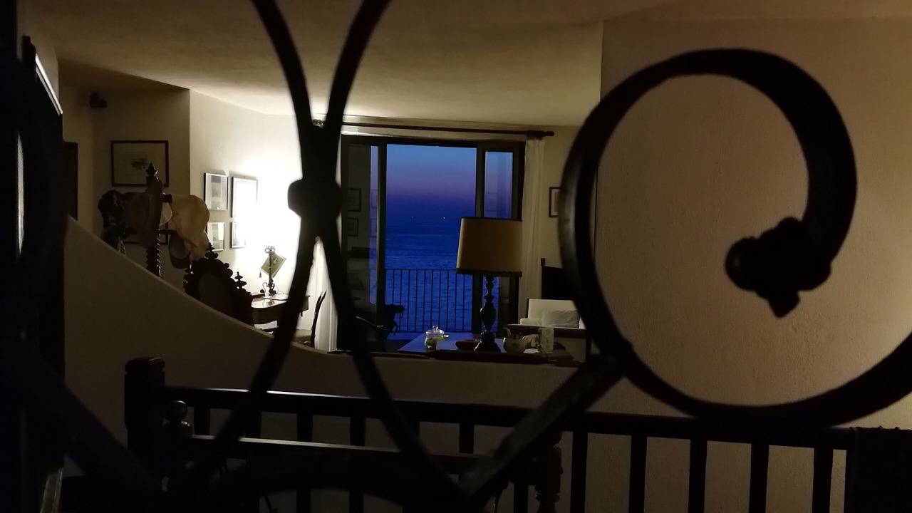 Photo of Others in Scilla