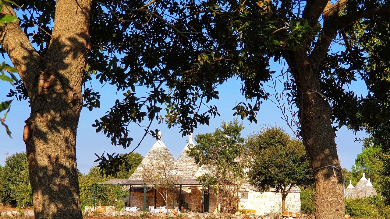 Photo of Outdoor in Cisternino