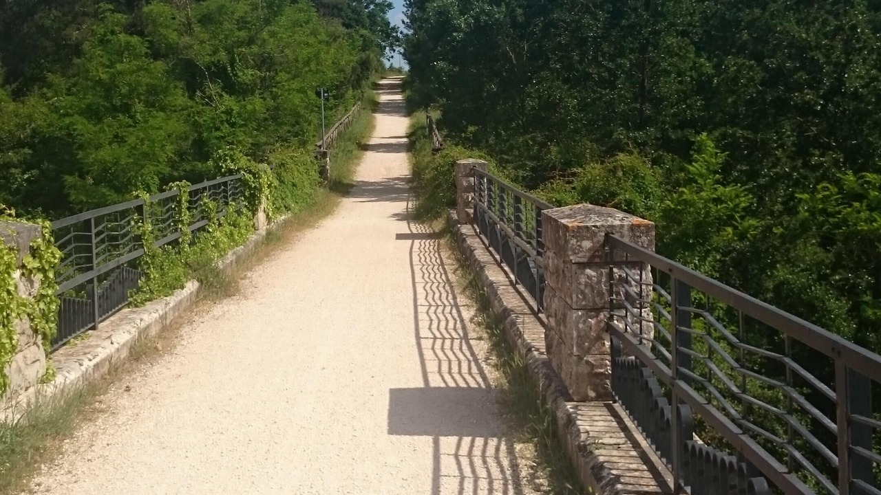 Photo of Outdoor in Cisternino