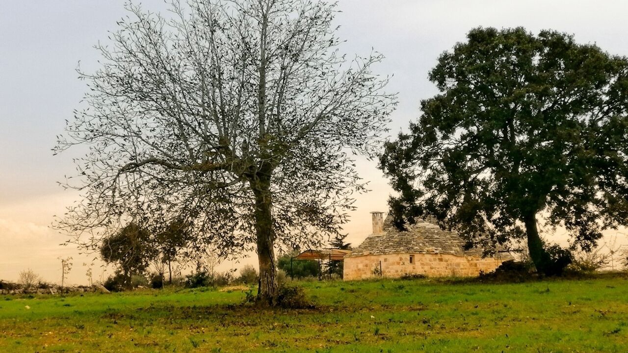Photo of Outdoor in Cisternino