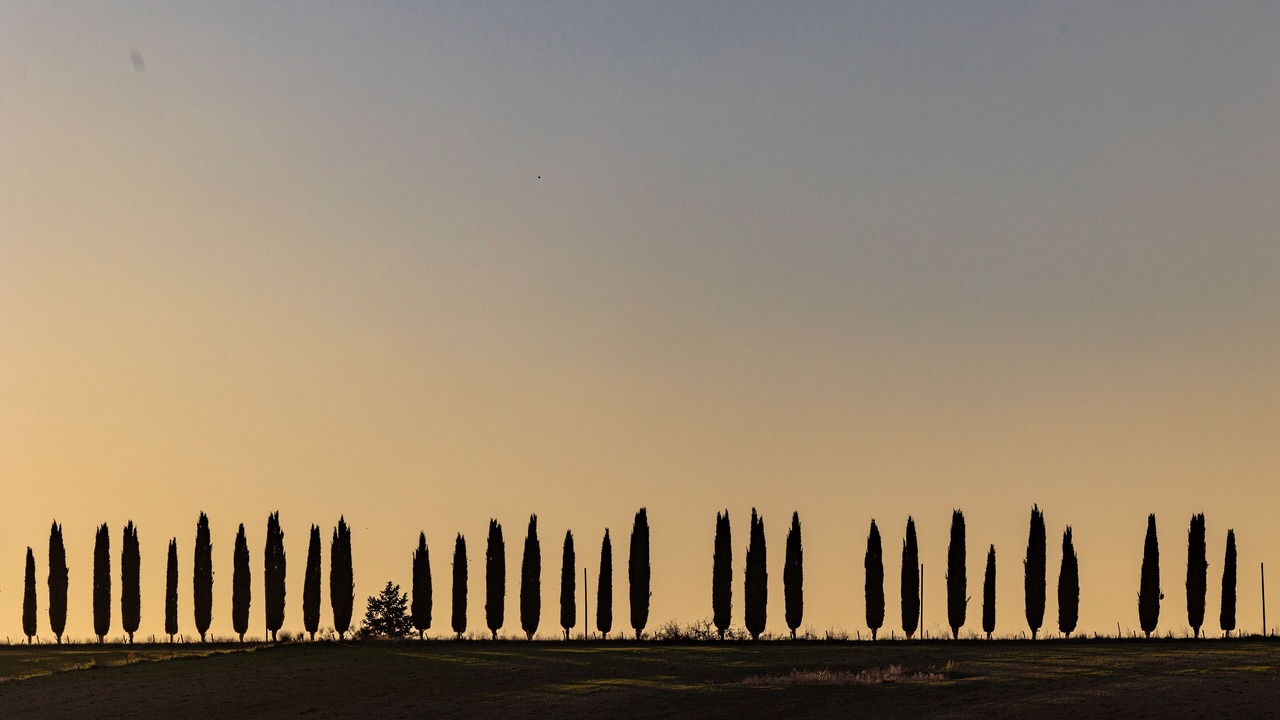 Photo of Others in Bollano