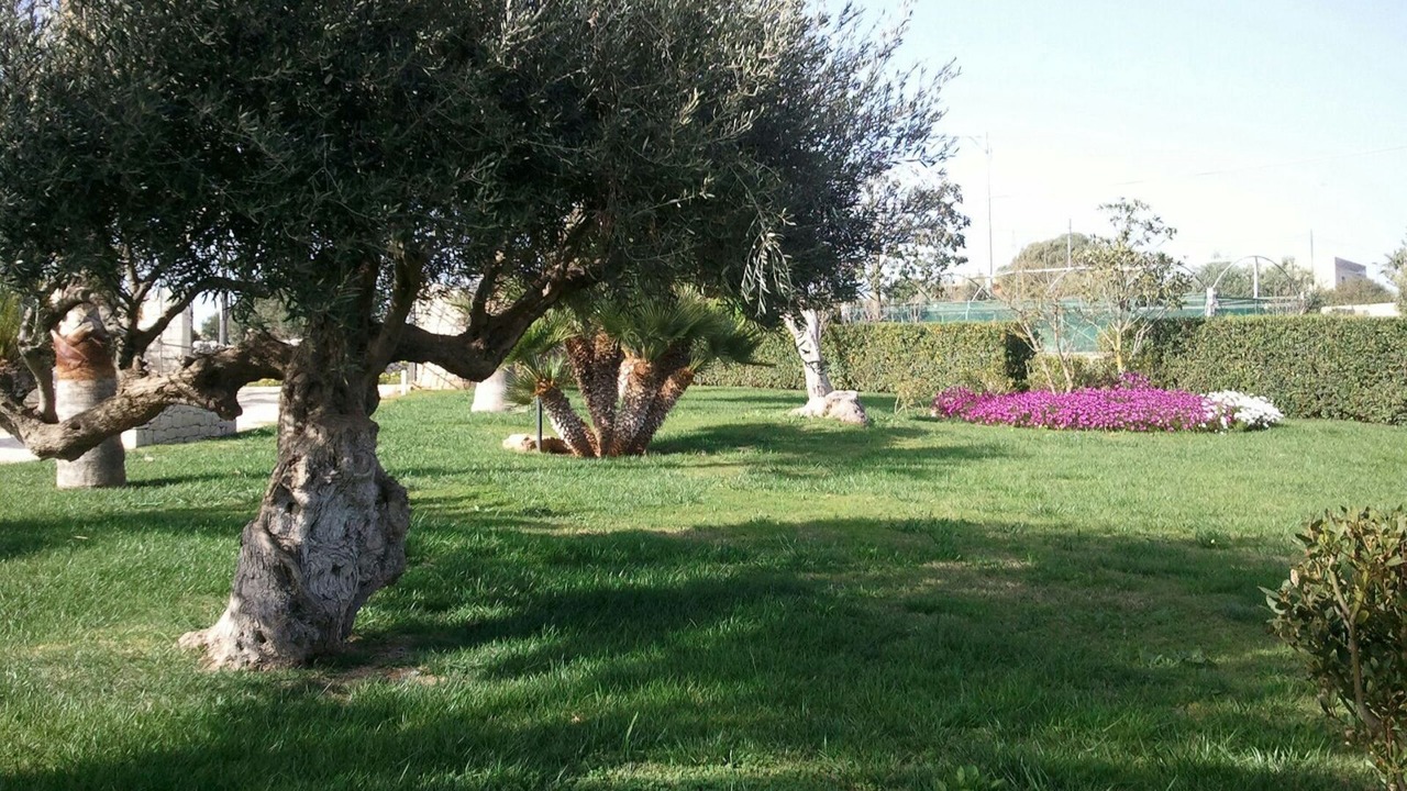 Photo of Outdoor in Casa Papa
