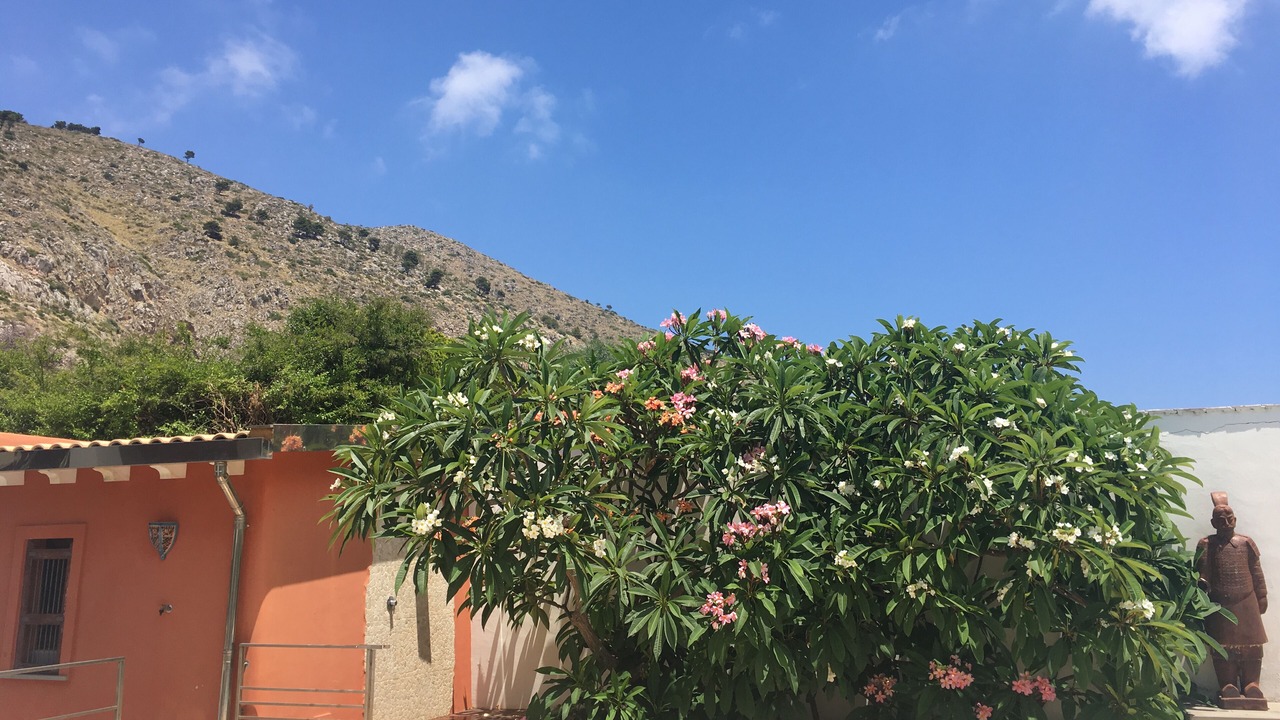 Photo of Outdoor in Mondello
