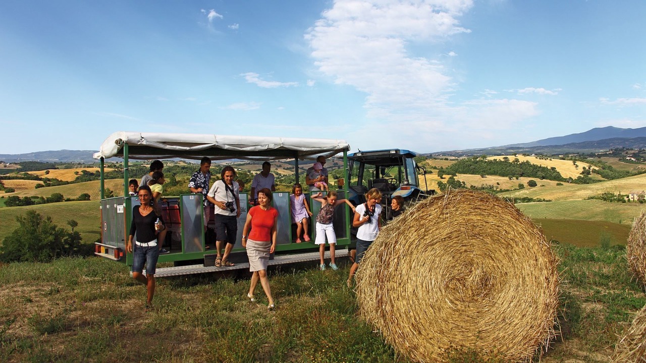 Photo of Others in Sasso dʼOmbrone