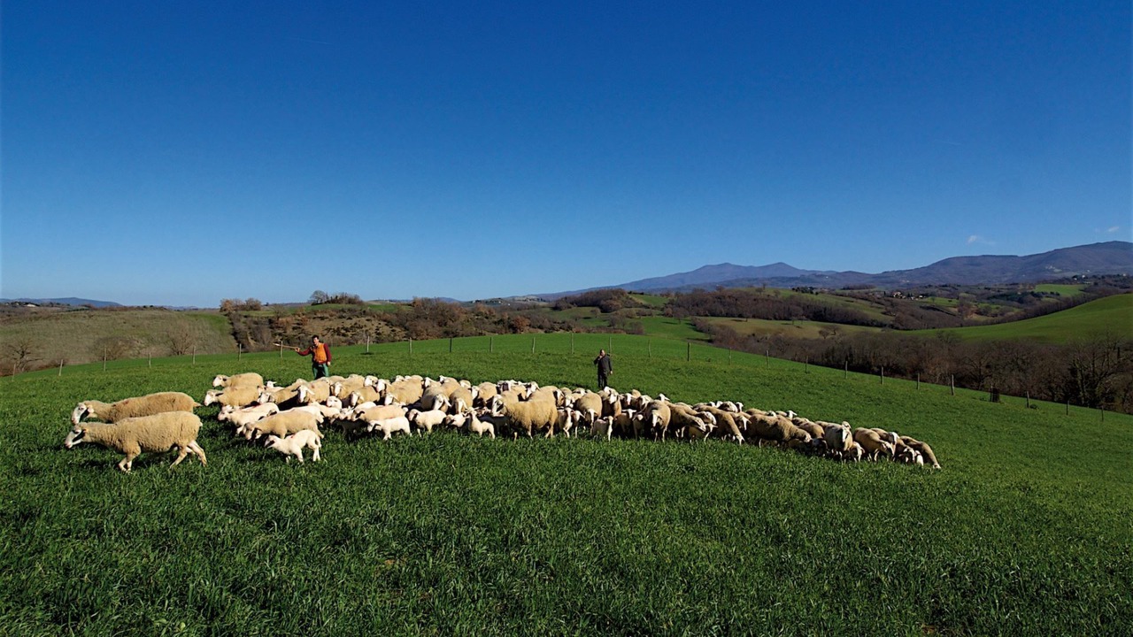 Photo of Others in Sasso dʼOmbrone