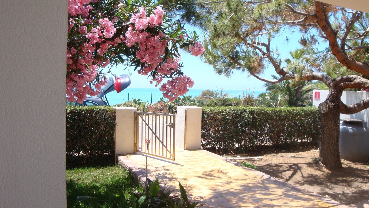 Photo of Outdoor in Punta Braccetto