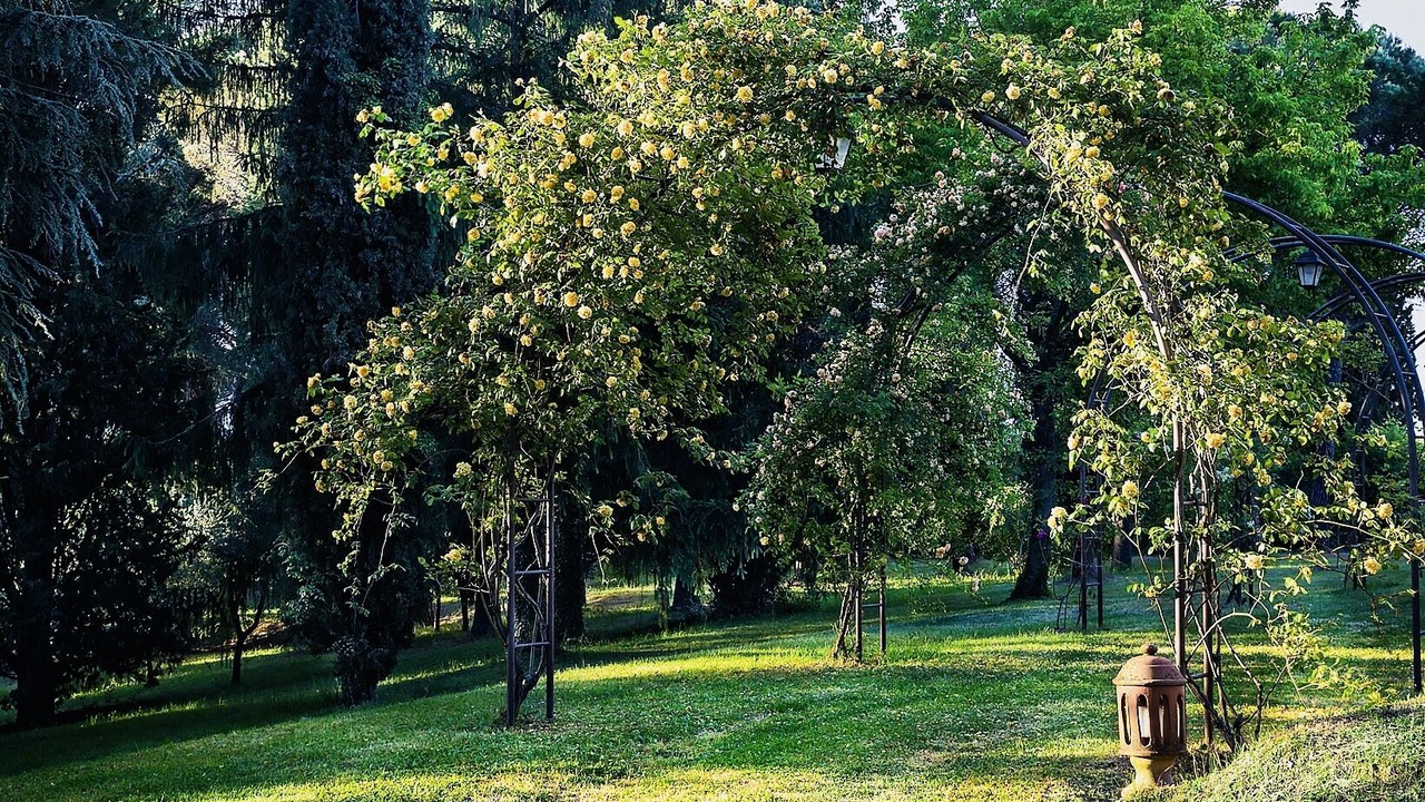 Photo of Outdoor in Citta della Pieve