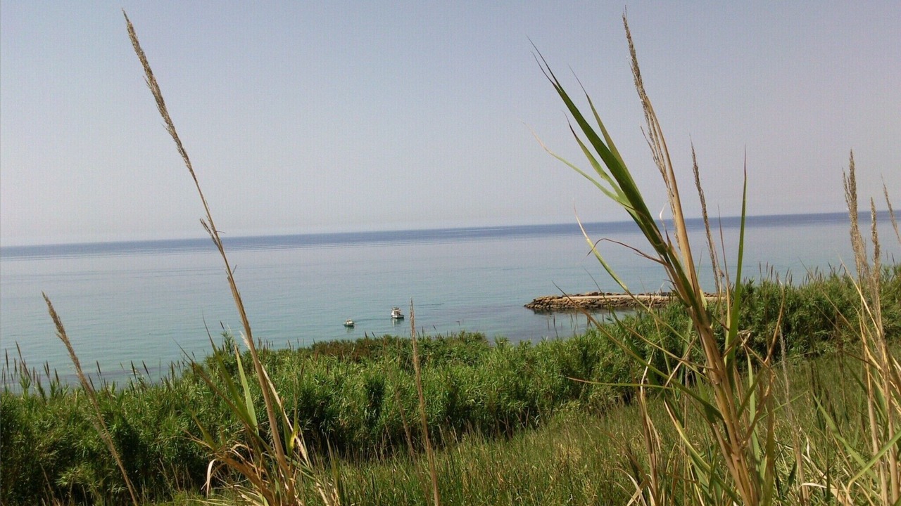 Photo of Others in Marinella di Selinunte