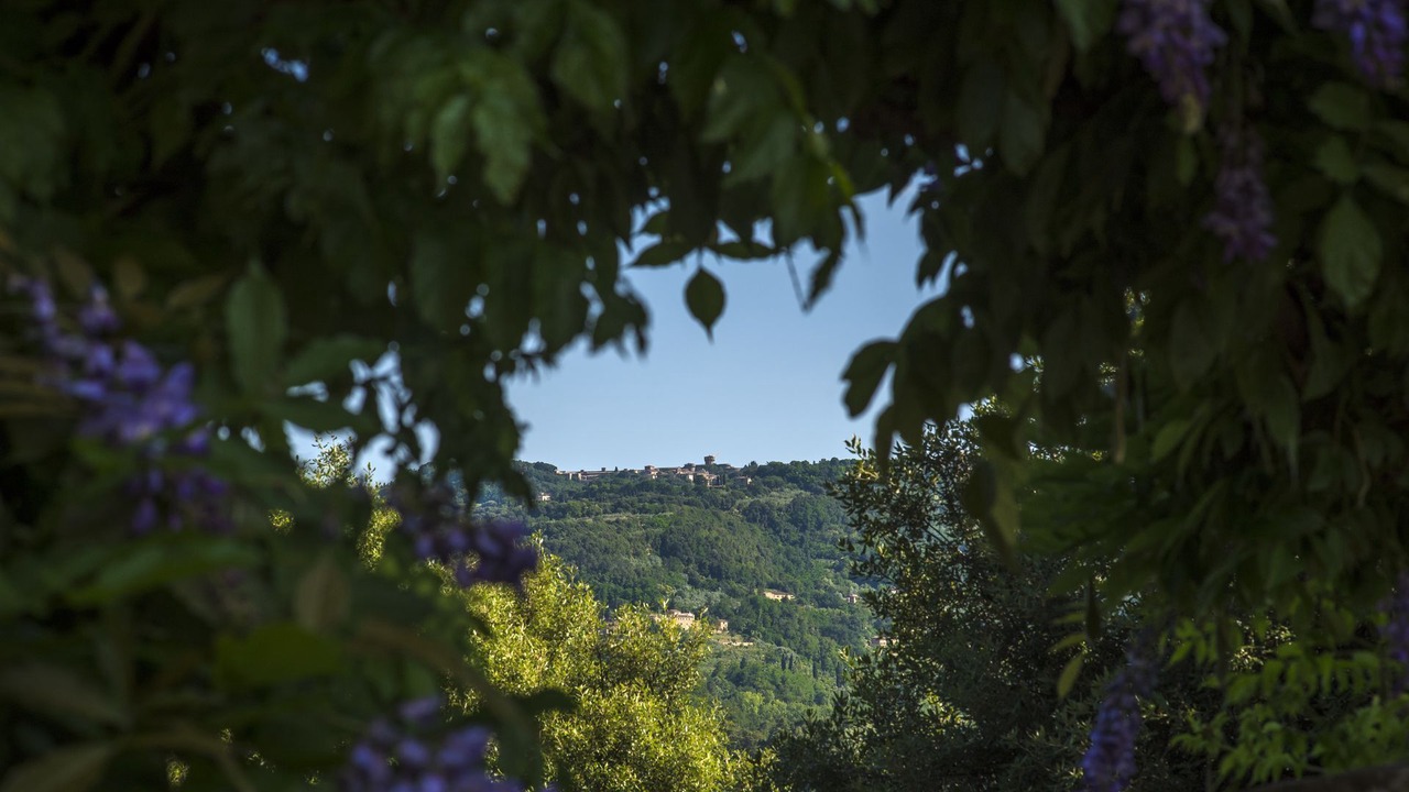 Photo of Others in Volterra