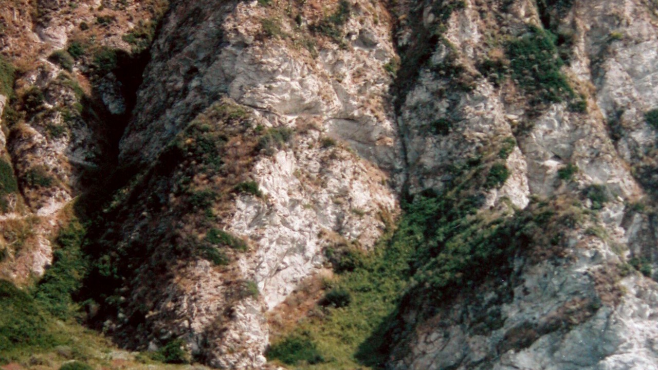 Photo of Others in Ricadi
