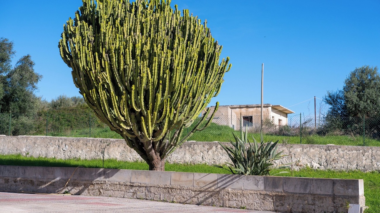 Photo of Outdoor in Floridia