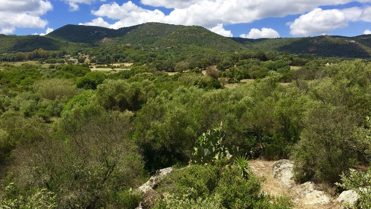 Photo of Outdoor in Olbia