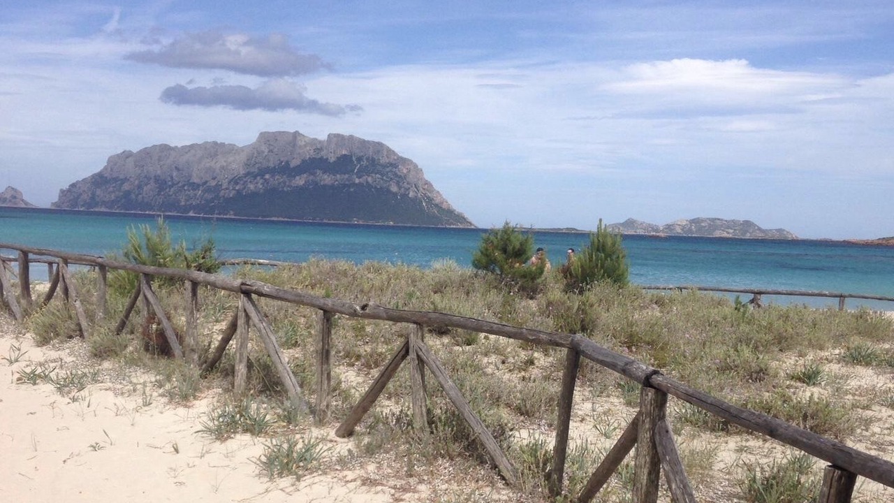 Photo of Others in Olbia