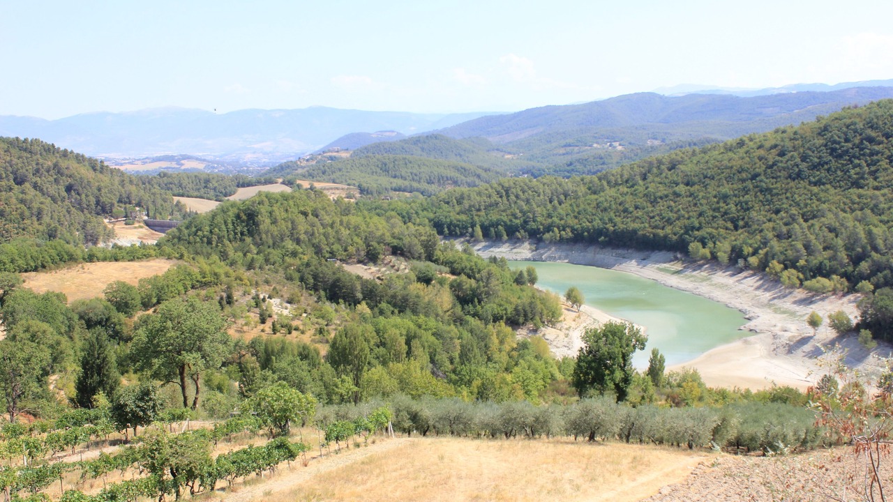 Photo of Others in Messenano