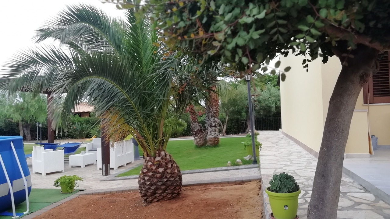 Photo of Outdoor in San Vito Lo Capo