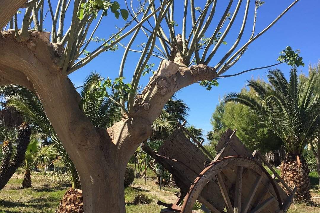Photo of Outdoor in Marsala