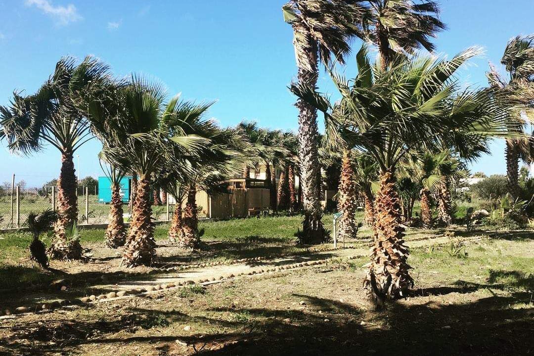 Photo of Outdoor in Marsala
