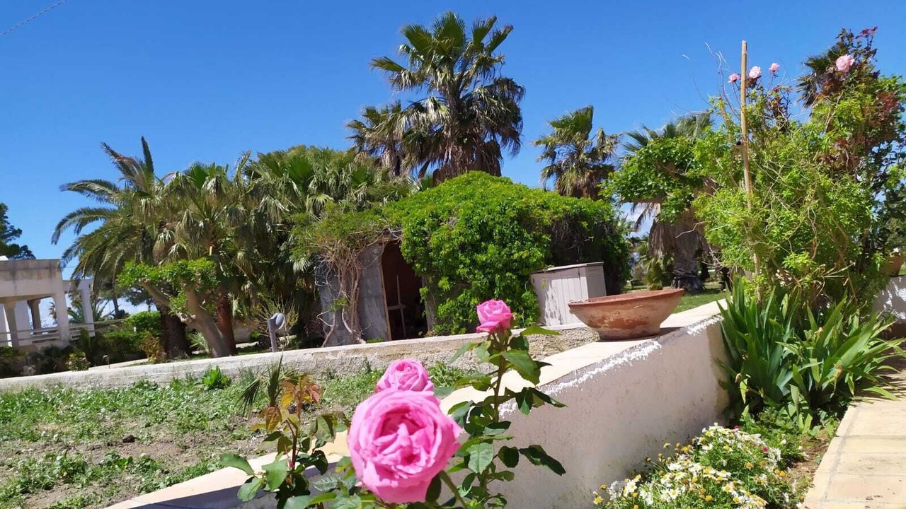 Photo of Outdoor in Marsala