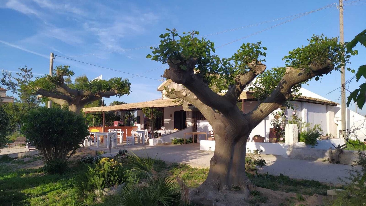 Photo of Outdoor in Marsala