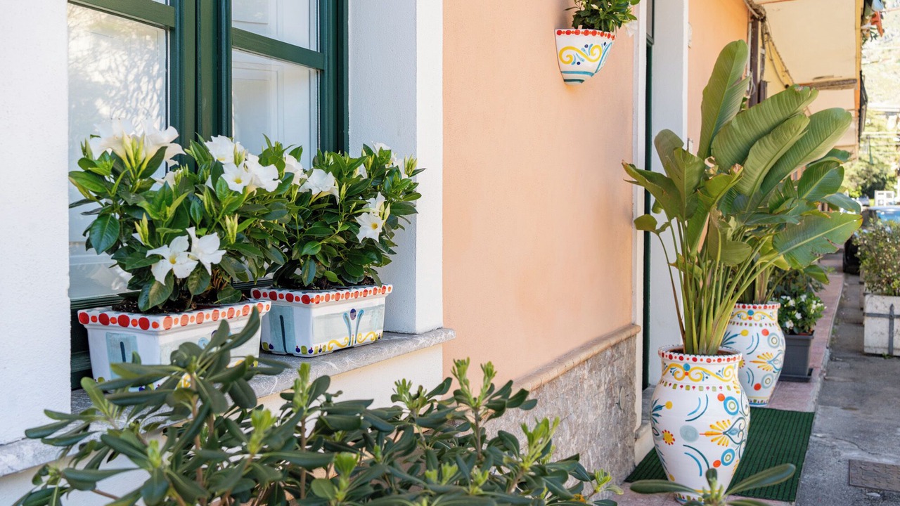 Photo of Outdoor in Villagonia