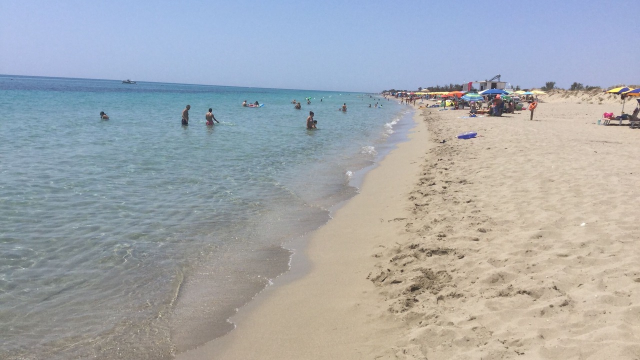 Photo of Others in Torre Vado