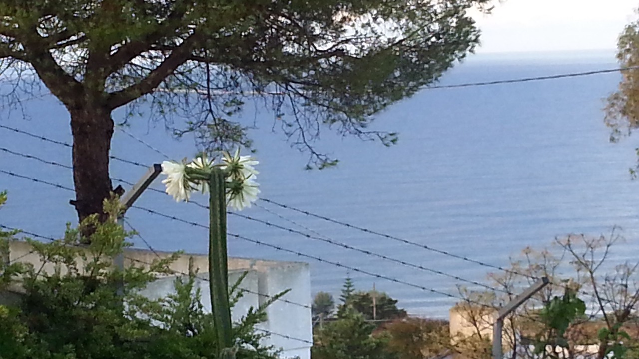Photo of Others in Torre Vado