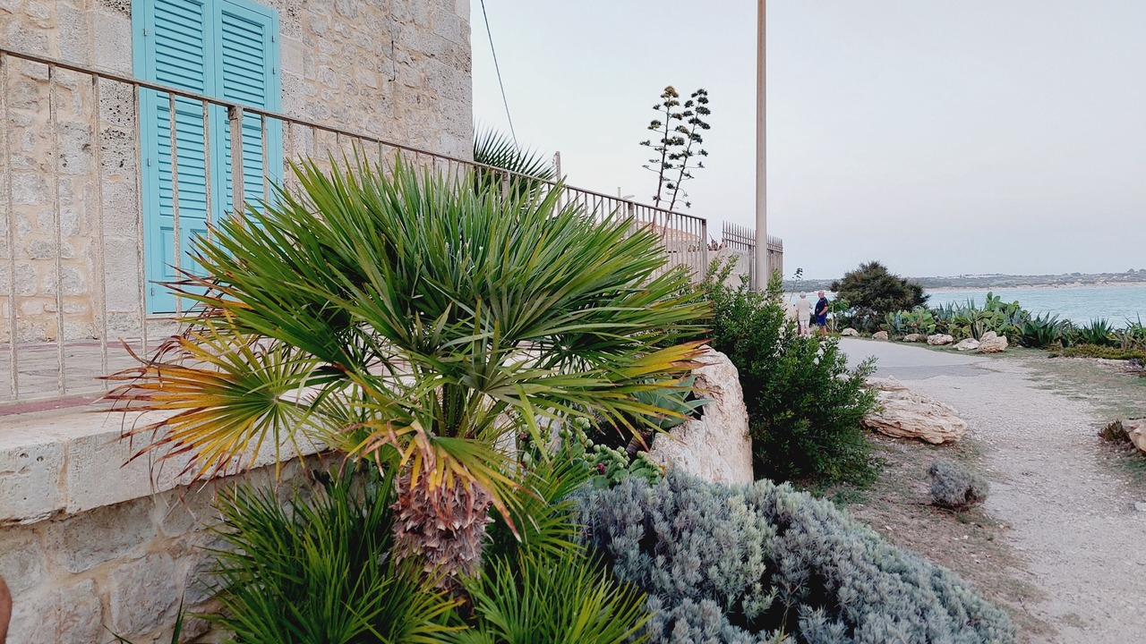 Photo of Outdoor in Sampieri
