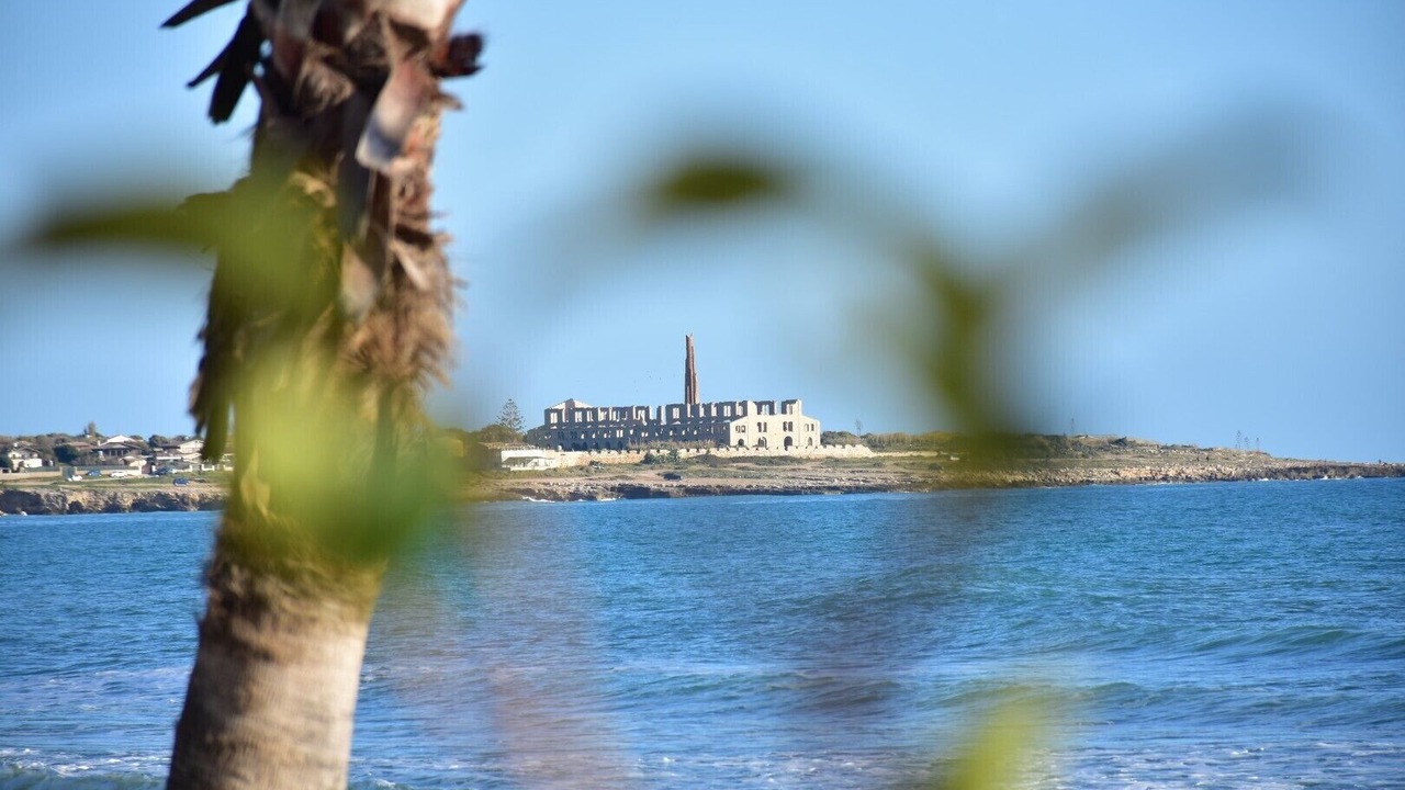Photo of Others in Sampieri