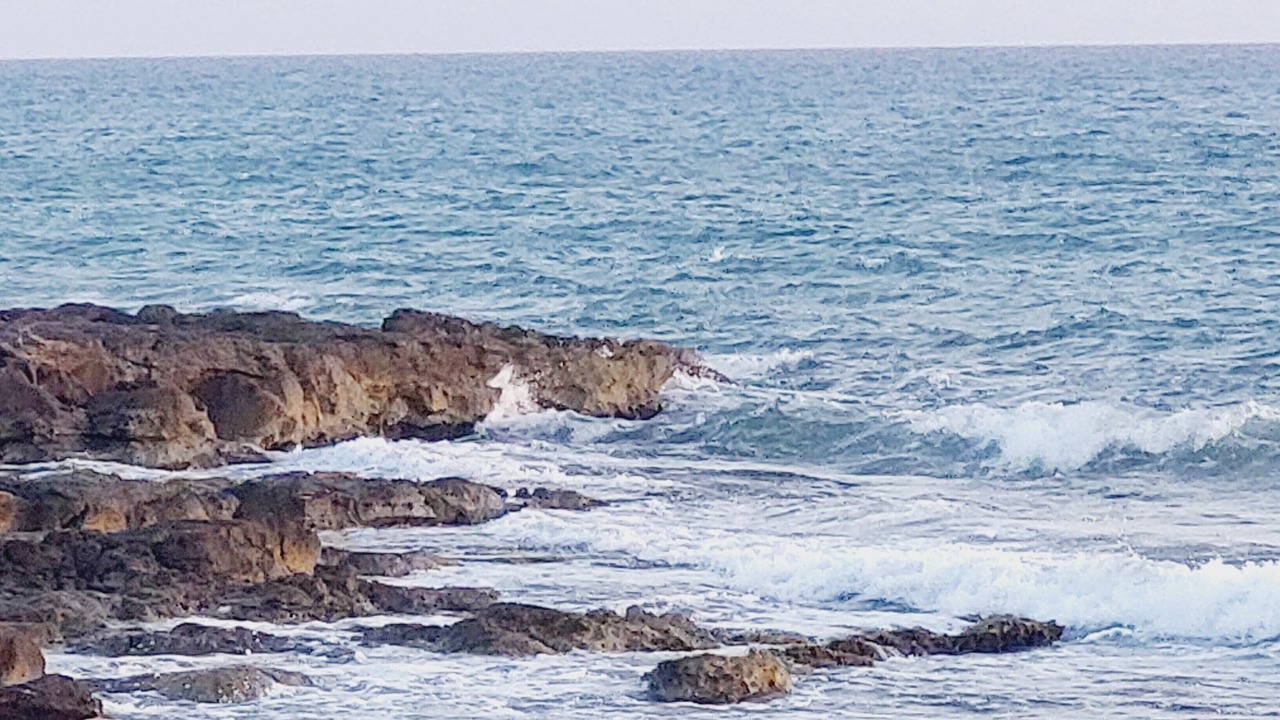Photo of Others in Sampieri